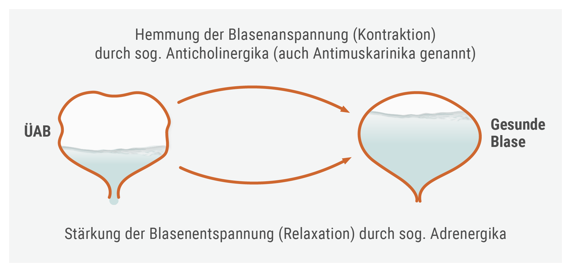 ast_blase-ok_Diagnostizieren-und-therapieren_Medikamentoese-Therapie_1